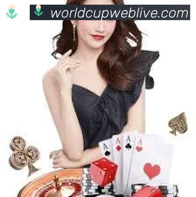 美加墨世界杯买球入口荣誉